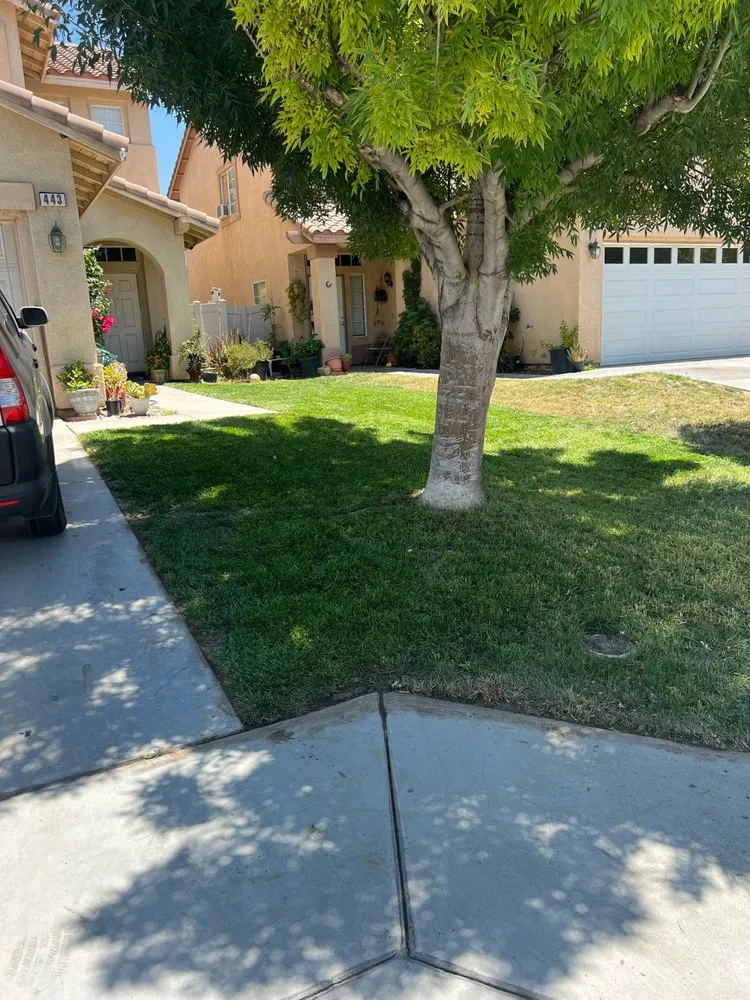 Top-rated yard maintenance near you across Lake Elsinore, CA - Villegas Budget Landscaping