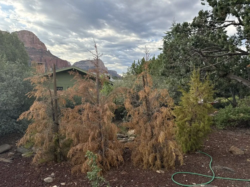 Expert outdoor landscaping for outdoor upgrades across Sedona, AZ - Villegas Landscape