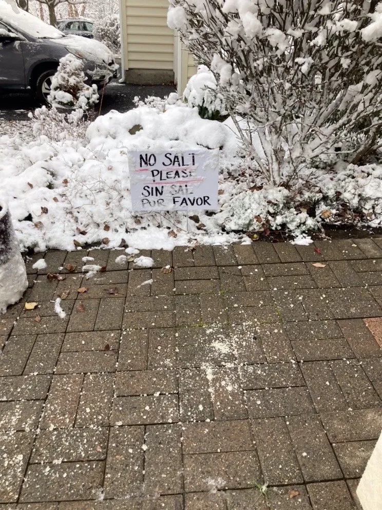 Trusted yard maintenance in Fishkill, NY by Villegas Landscaping