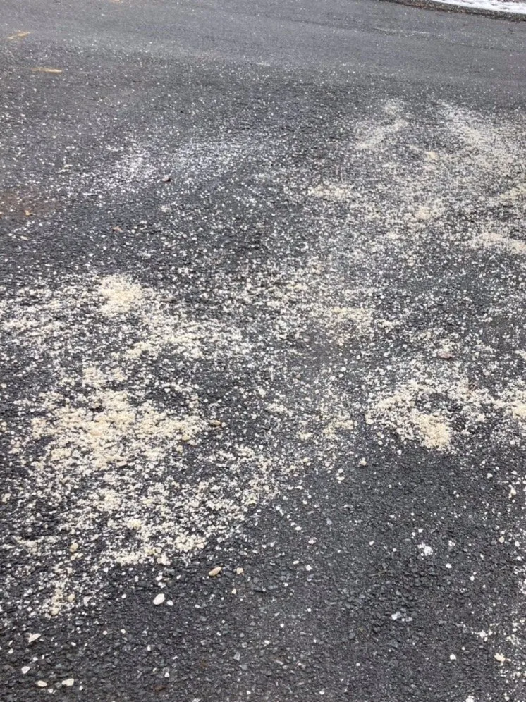 Professional garden landscaping for outdoor upgrades across Fishkill, NY - Villegas Landscaping