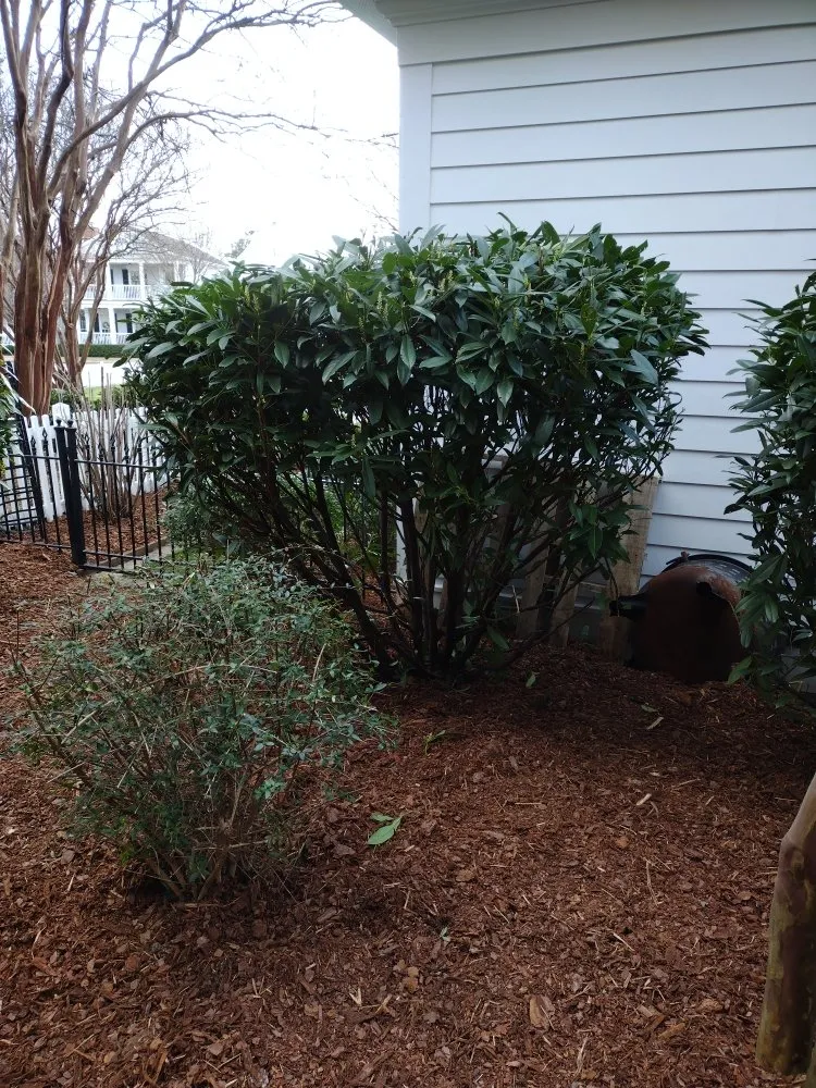 Reliable landscape design in Huntsville, AL - villegas landscaping services