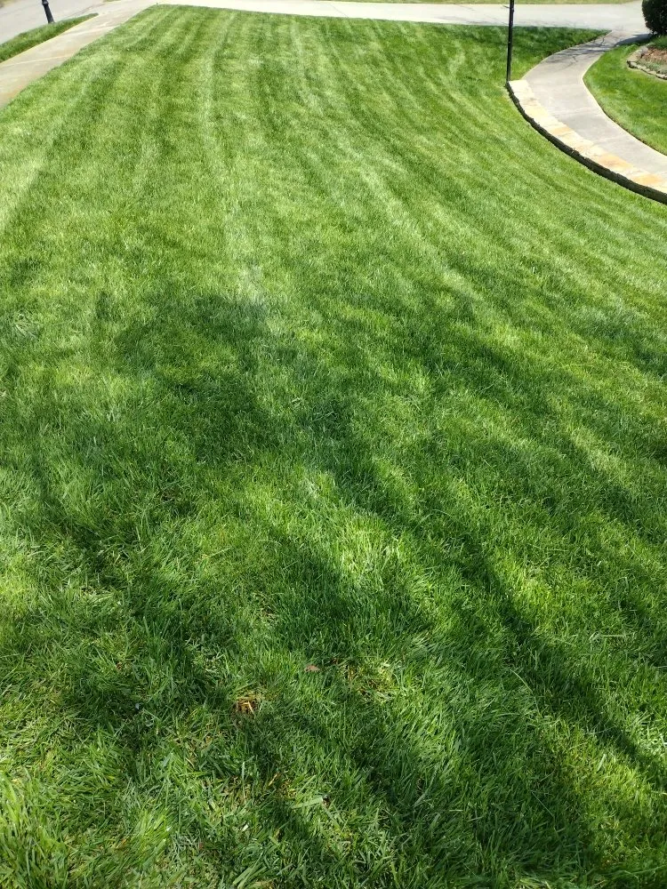 Top-rated outdoor landscaping in Huntsville, AL by villegas landscaping services