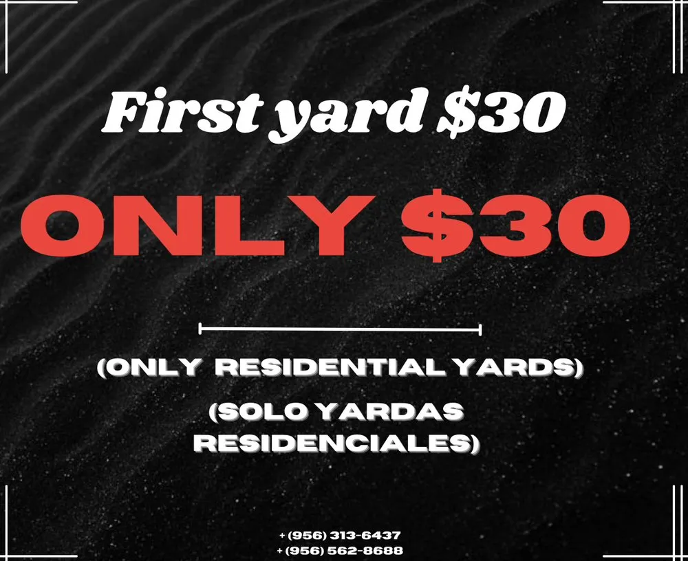 Professional residential landscaping with custom design in McAllen, TX by Villegas