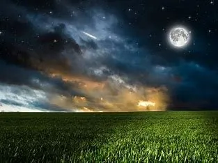 Local lawn mowing service in Bloomington, MN - Vima Lawncare