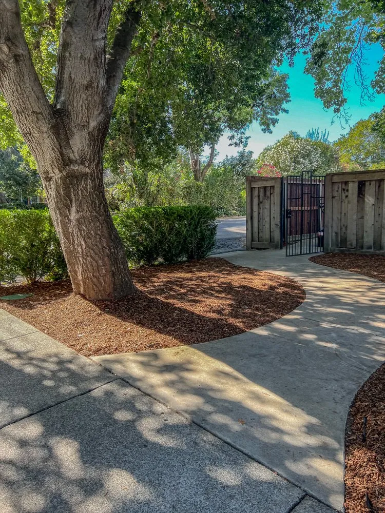 Expert outdoor landscaping in St. Helena, CA - Vin And Vin Landscaping