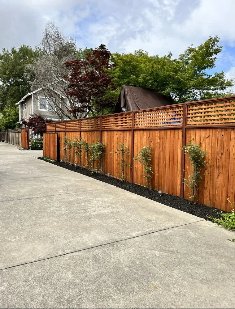 Reliable yard cleanup service experts serving St. Helena, CA - Vin And Vin Landscaping