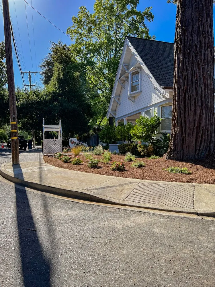 Professional lawn care service in St. Helena, CA by Vin And Vin Landscaping