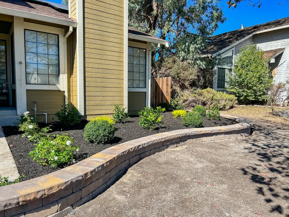 Professional yard cleanup service for residential properties in St. Helena, CA by Vin And Vin Landscaping