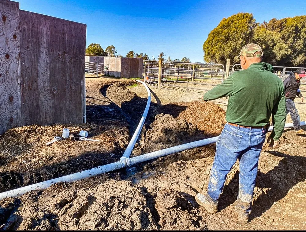 Professional lawn care service in St. Helena, CA - Vin And Vin Landscaping