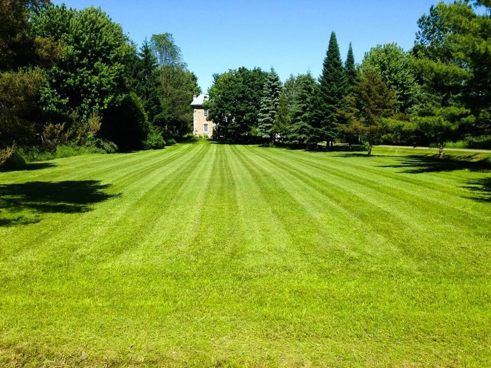 Local landscape design in Jefferson, WI by Vince Landscaping