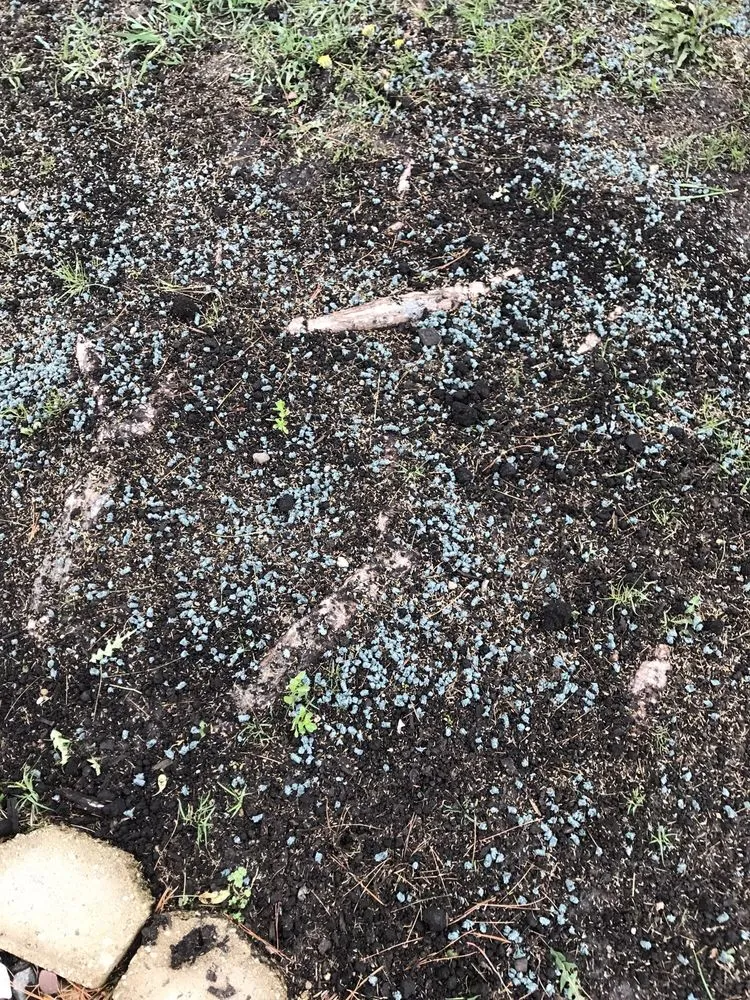 Expert yard cleanup service for outdoor upgrades across Jefferson, WI - Vince Landscaping