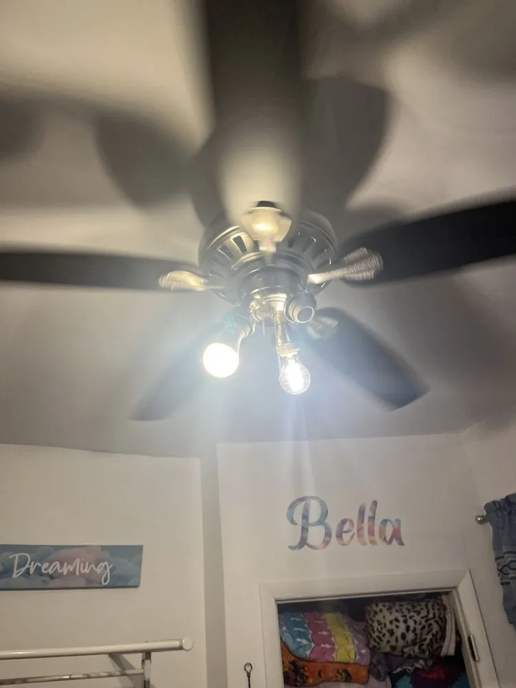 Professional landscaping services experts serving Staten Island, NY - Vincent-4-Hire