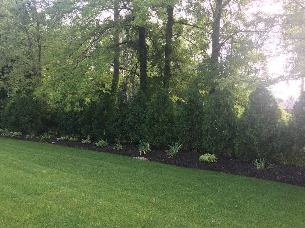 Local yard cleanup service experts serving Wake Forest, NC - Vincent DiPasquale Landscaping