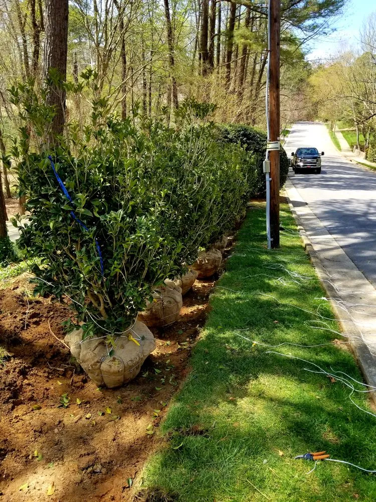 Affordable yard maintenance for outdoor upgrades across Wake Forest, NC - Vincent DiPasquale Landscaping
