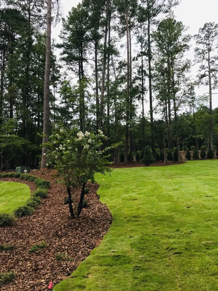Trusted yard maintenance in Wake Forest, NC - Vincent DiPasquale Landscaping