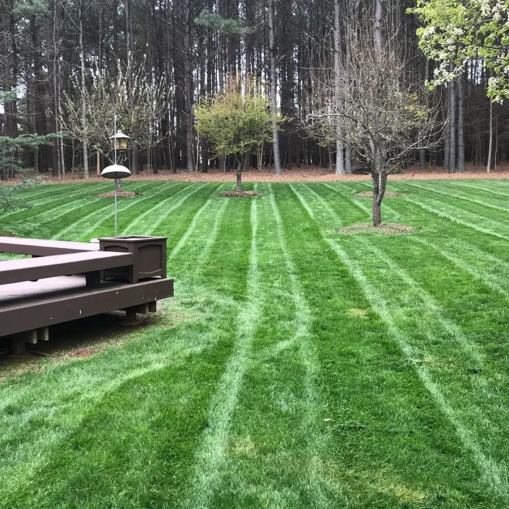 Affordable yard maintenance in Wake Forest, NC by Vincent DiPasquale Landscaping