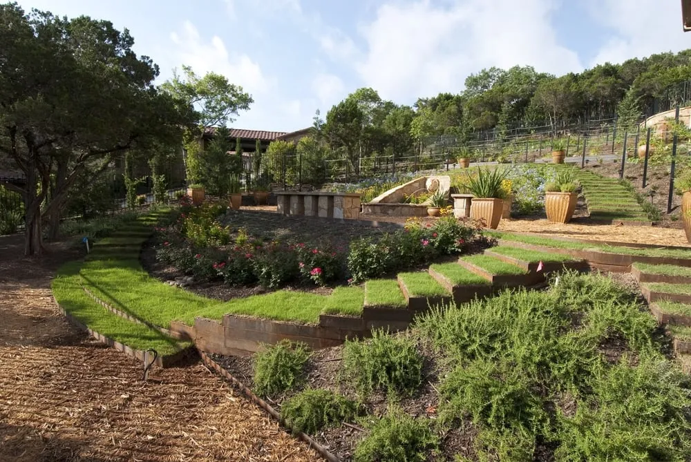 Professional landscape installation for beautiful yards across Austin, TX - Vincent Landscapes