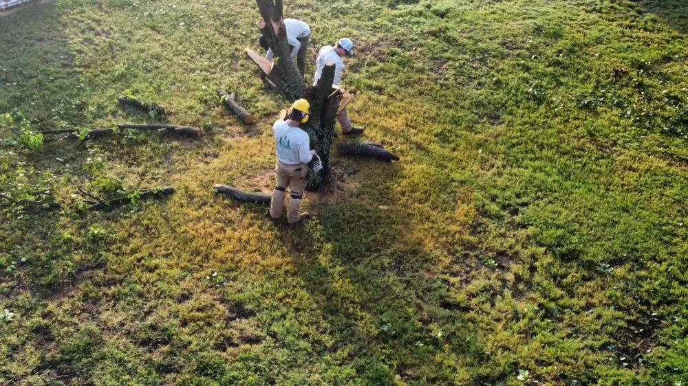 Local landscaping services experts serving Forney, TX - Vincent Landscaping