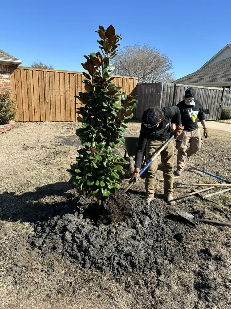 Top-rated yard maintenance experts serving Forney, TX - Vincent Landscaping