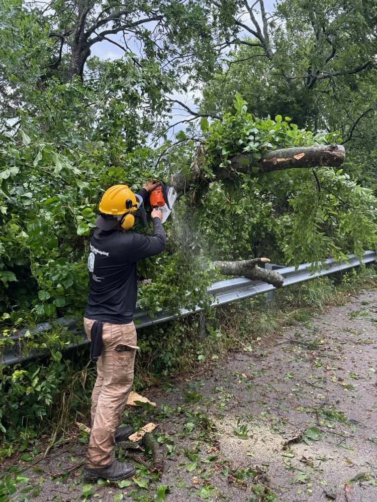 Professional outdoor landscaping for residential properties across Forney, TX - Vincent Landscaping