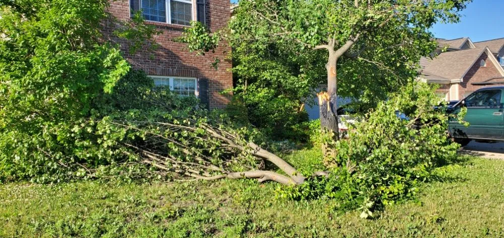 Expert residential landscaping in Richmond, VA by Vincent Landscaping