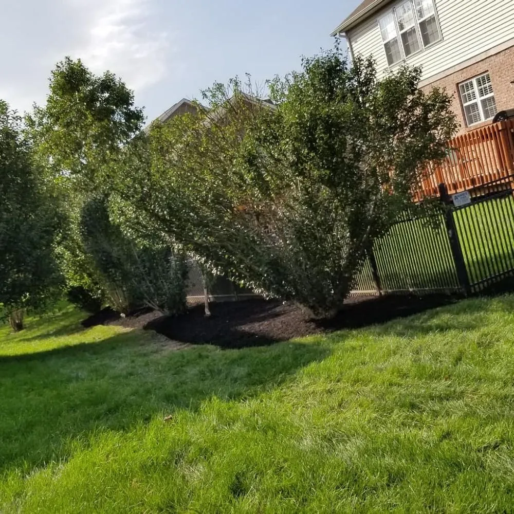 Local landscape design in Richmond, VA by Vincent Landscaping
