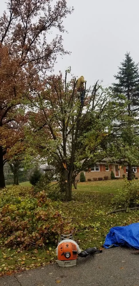 Reliable outdoor landscaping for residential properties in Richmond, VA by Vincent Landscaping