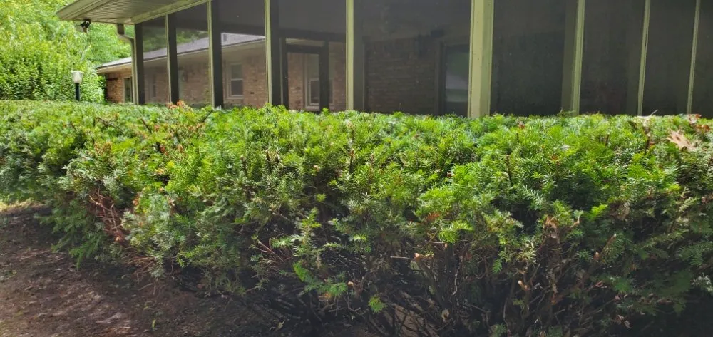 Local landscape design experts serving Richmond, VA - Vincent Landscaping