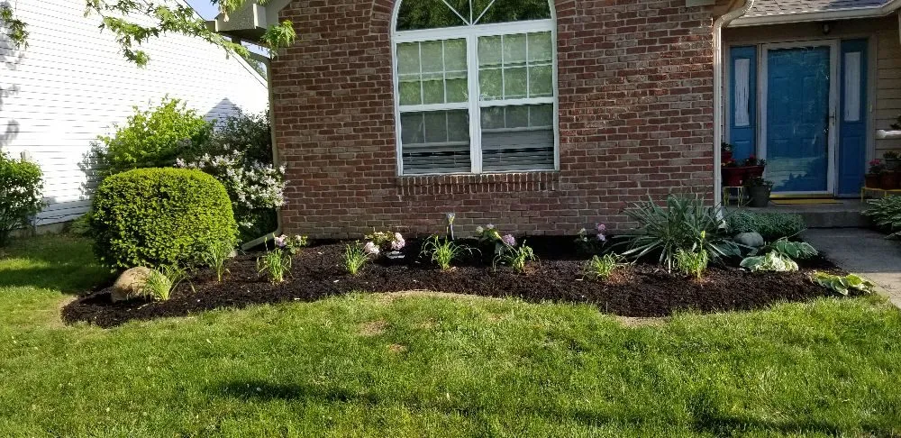 Local yard cleanup service experts serving Richmond, VA - Vincent Landscaping