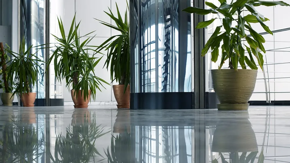 Professional landscape installation with custom design in Beverly Hills, FL by Vincent Michael Designs