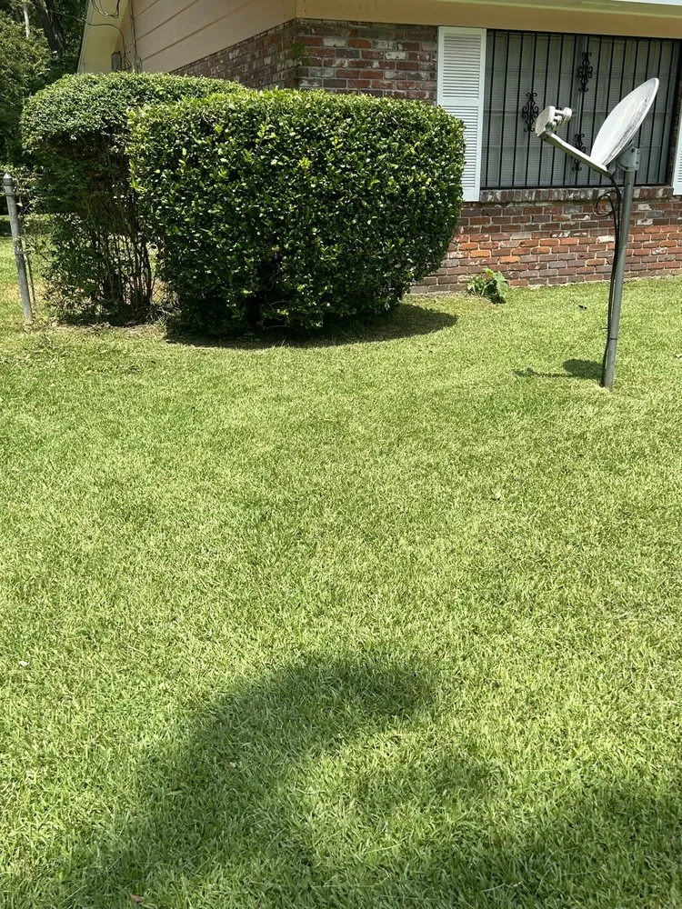 Reliable landscape installation for year-round maintenance in Jackson, MS by Vincent’s Lawn Service