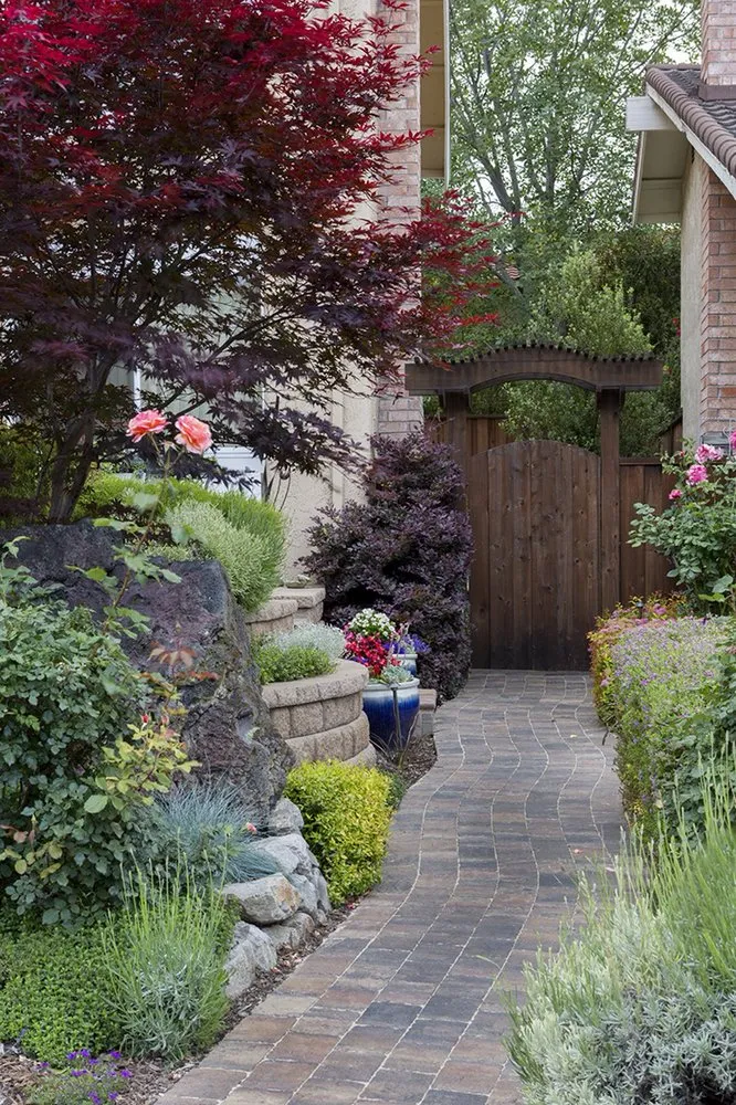 Top-rated lawn care service with custom design in Martinez, CA by Vince's Landscaping