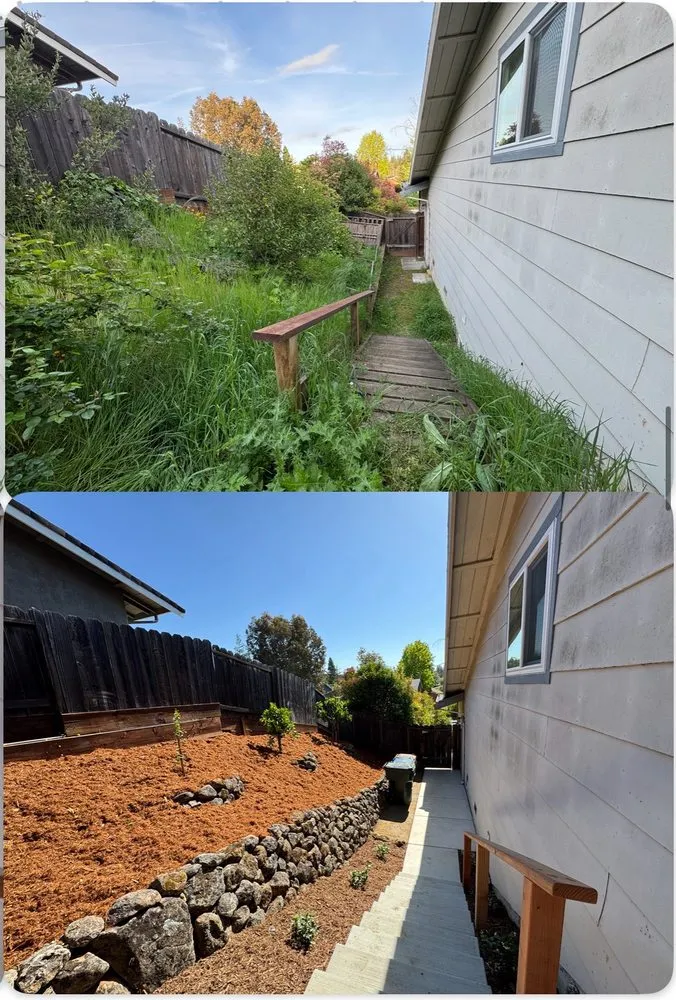 Professional outdoor landscaping in Martinez, CA by Vince's Landscaping