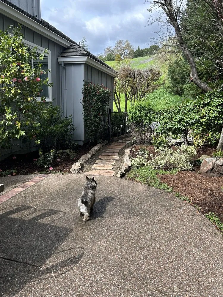 Expert garden landscaping in Martinez, CA by Vince's Landscaping