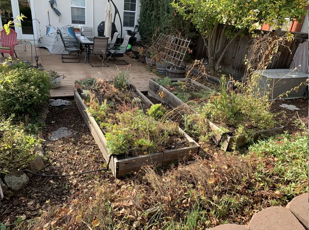 Professional lawn care service in Martinez, CA by Vince's Landscaping