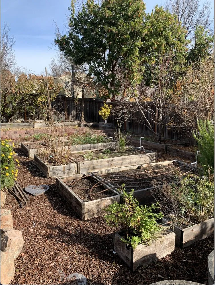 Reliable landscape design in Martinez, CA - Vince's Landscaping