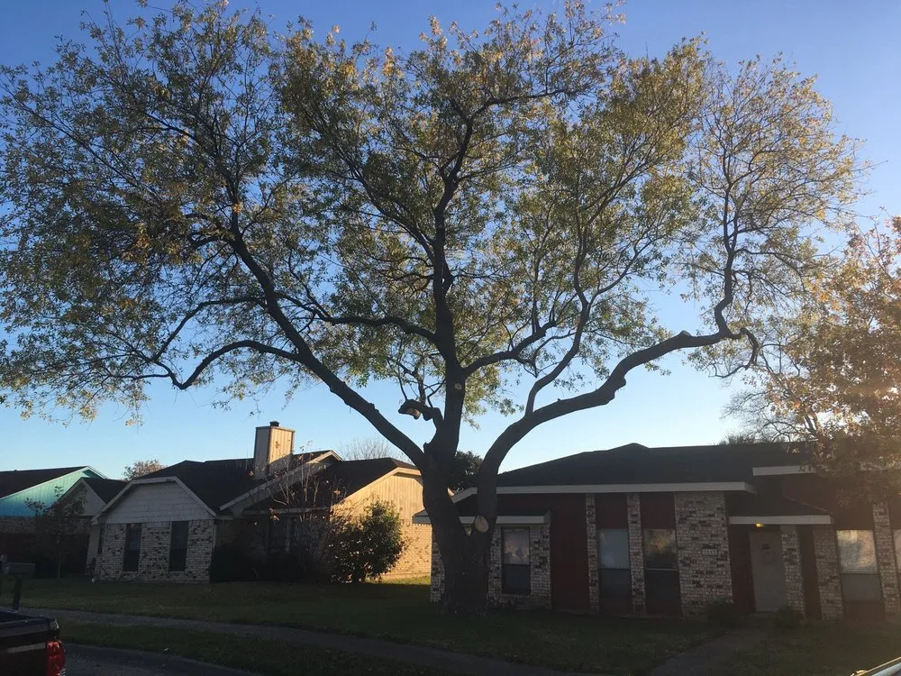 Reliable garden landscaping in Rockwall, TX by Vince's Logs & Limbs