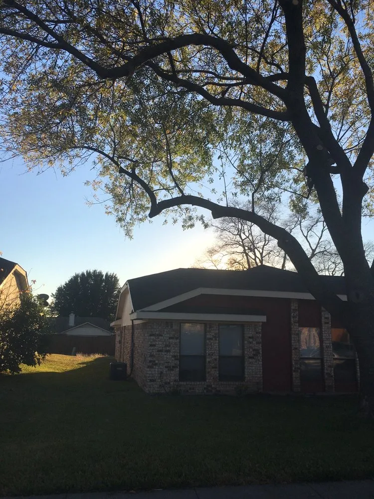 Affordable yard cleanup service near you across Rockwall, TX - Vince's Logs & Limbs