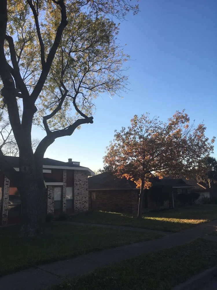 Professional residential landscaping experts serving Rockwall, TX - Vince's Logs & Limbs