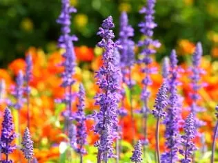 Affordable landscape installation experts serving Edina, MN - Vince's Tree & Landscape