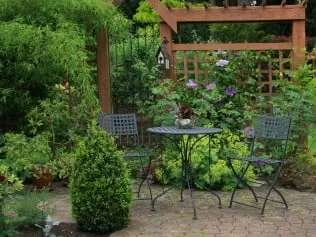 Local lawn mowing service in Edina, MN - Vince's Tree & Landscape