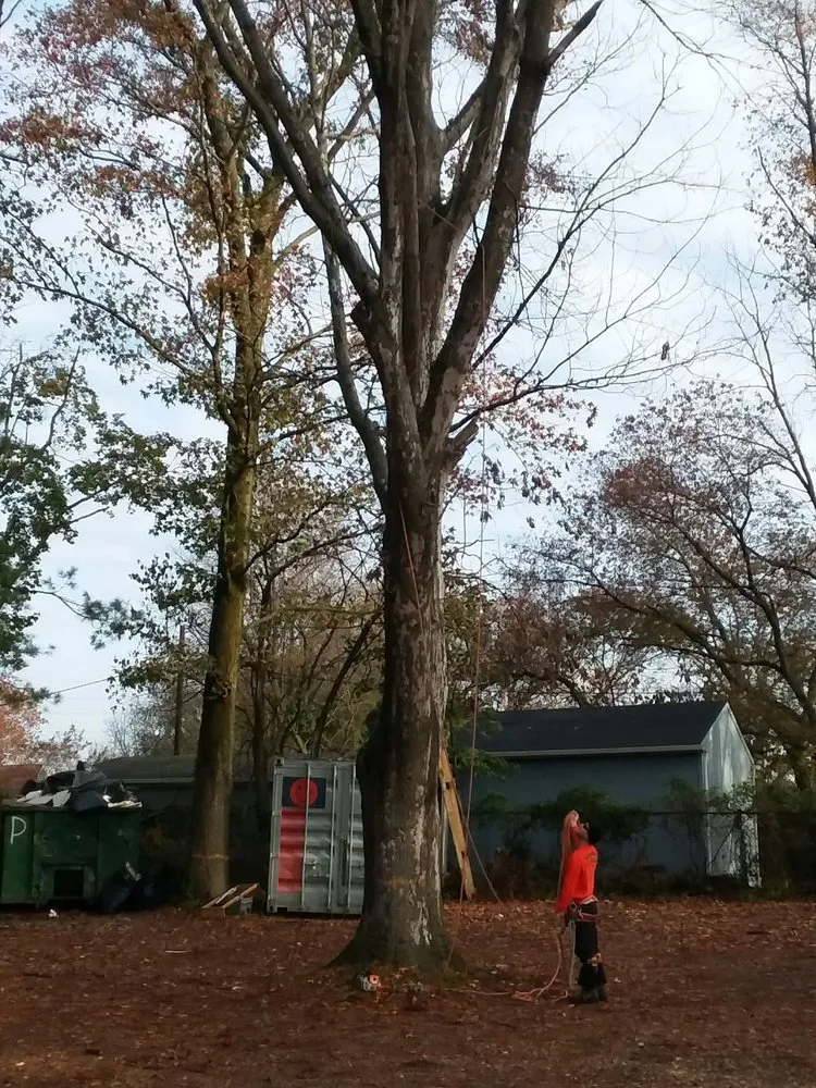 Reliable landscaping services for homes across Blackwood, NJ - Vince's Tree & Landscaping Service