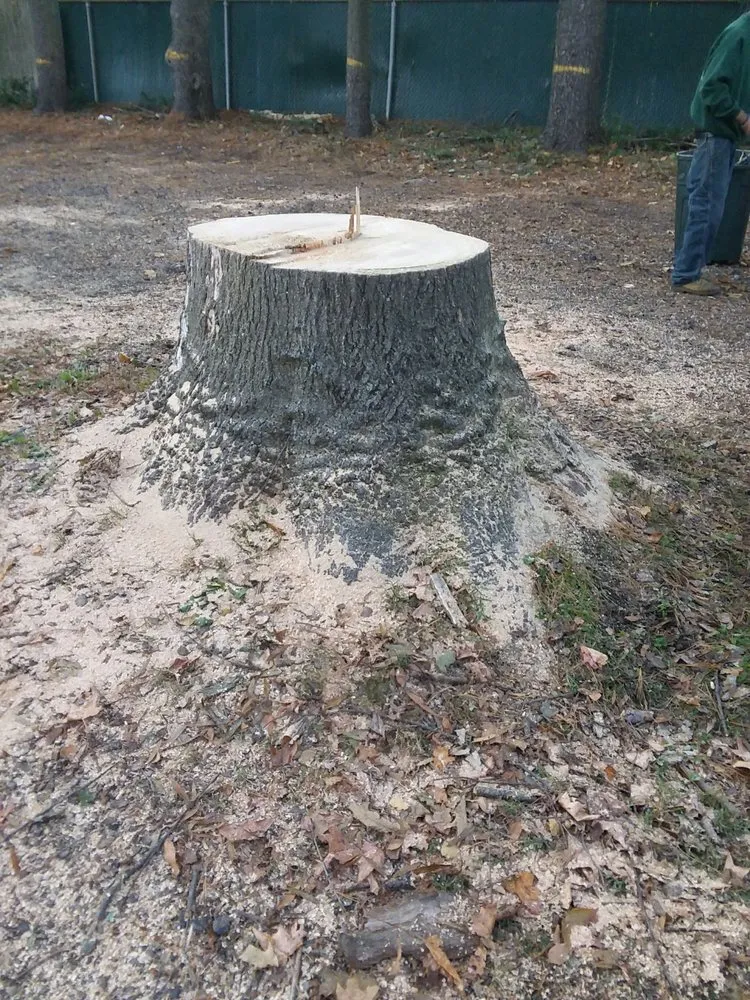 Reliable lawn mowing service near you in Blackwood, NJ by Vince's Tree & Landscaping Service