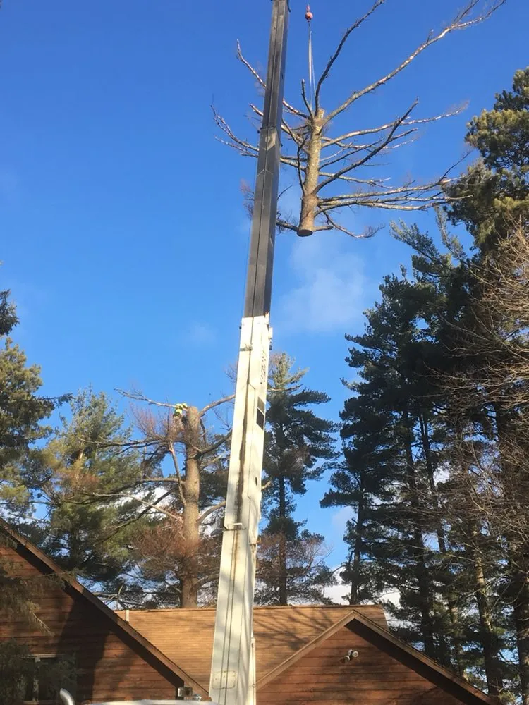 Reliable lawn care service near you across Pierz, MN - Vince's Tree and Landscaping