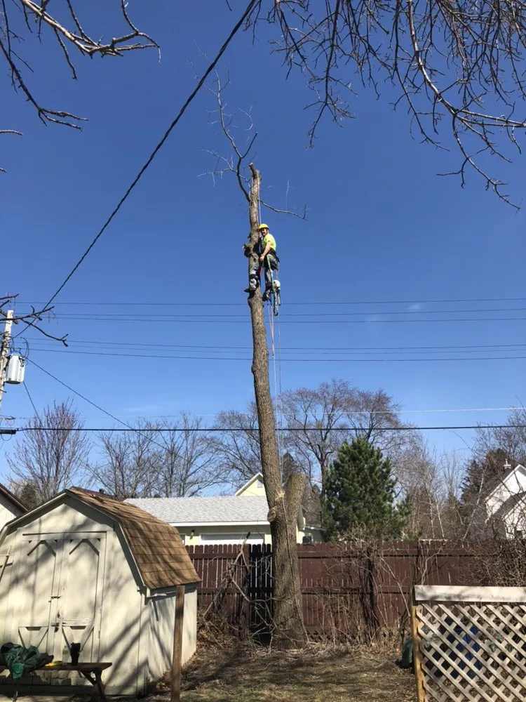 Professional landscape design experts serving Pierz, MN - Vince's Tree and Landscaping