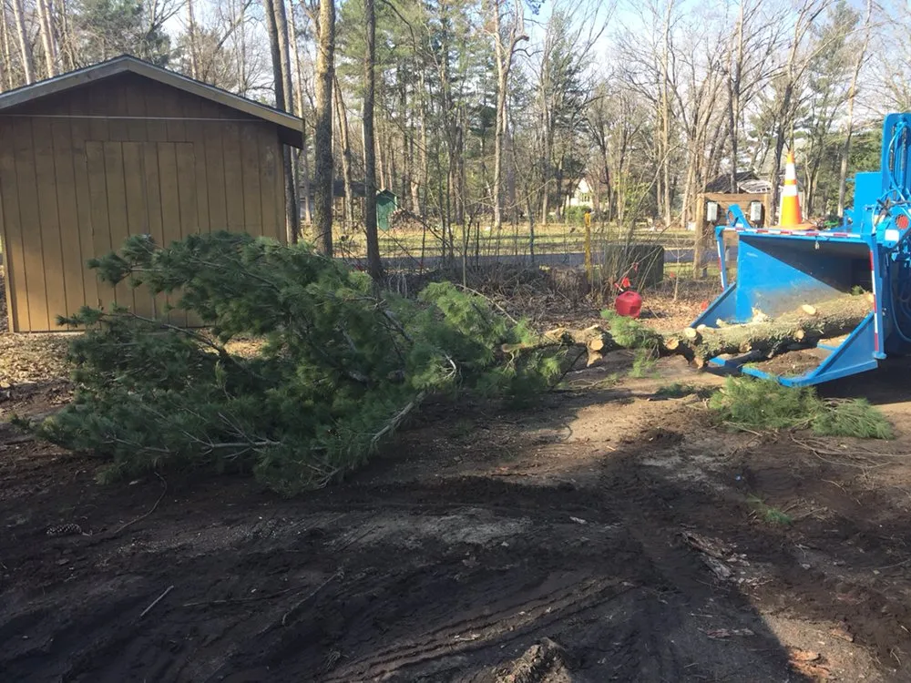 Top-rated garden landscaping in Pierz, MN by Vince's Tree and Landscaping