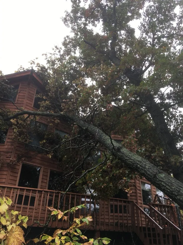 Top-rated landscape installation for residential properties across Pierz, MN - Vince's Tree and Landscaping