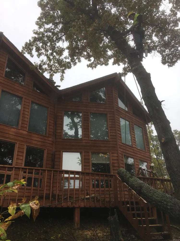 Expert yard cleanup service for beautiful yards in Pierz, MN by Vince's Tree and Landscaping