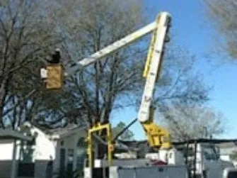 Top-rated lawn care service in Pierz, MN by Vince's Tree and Landscaping