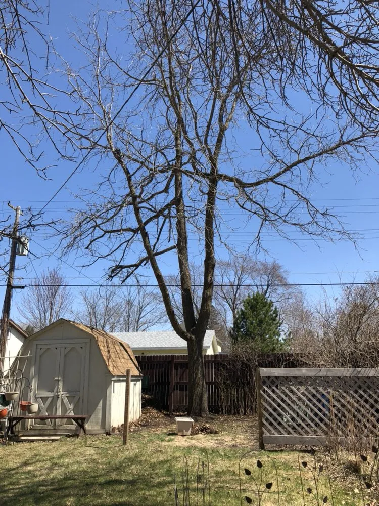 Trusted outdoor landscaping in Pierz, MN - Vince's Tree and Landscaping